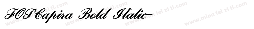 FOTCapira Bold Italic字体转换